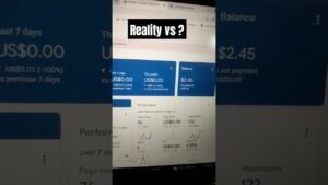 WordPress earning day 1 Reality