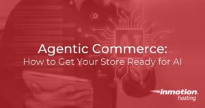 Agentic Commerce How to Get Your Store Ready for AI - Hero Image