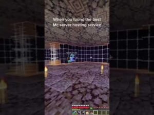 When you found the best minecraft server hosting service